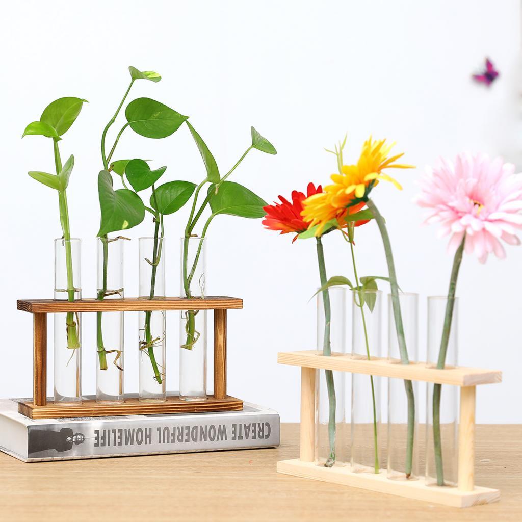 Reagenzglasständer Glas-Blumen – Propagation Station Vase Bewertung und Preis