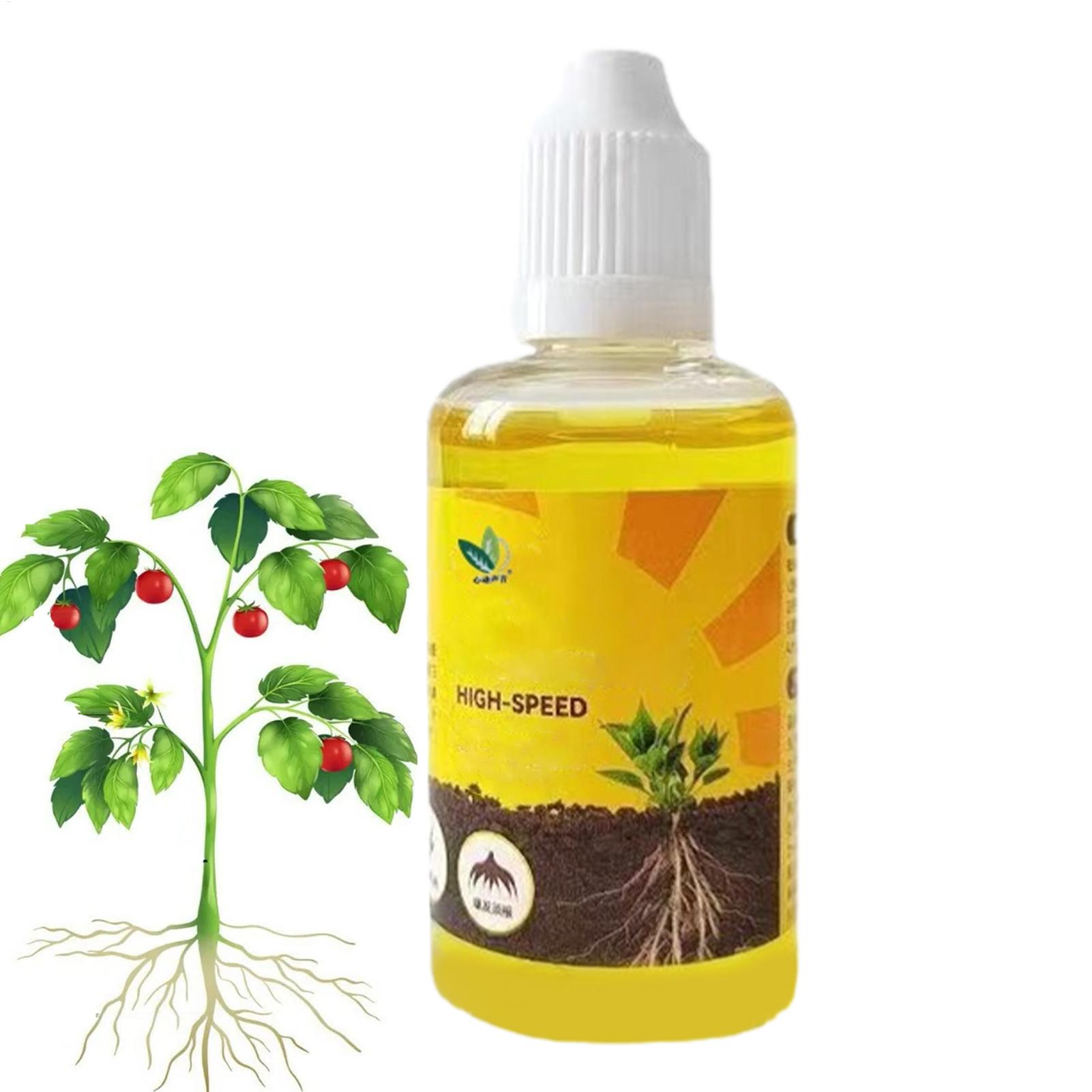 50 ml Pflanzenwurzel-Stimulato – Root Stimulator Liquid Bewertung und Preis