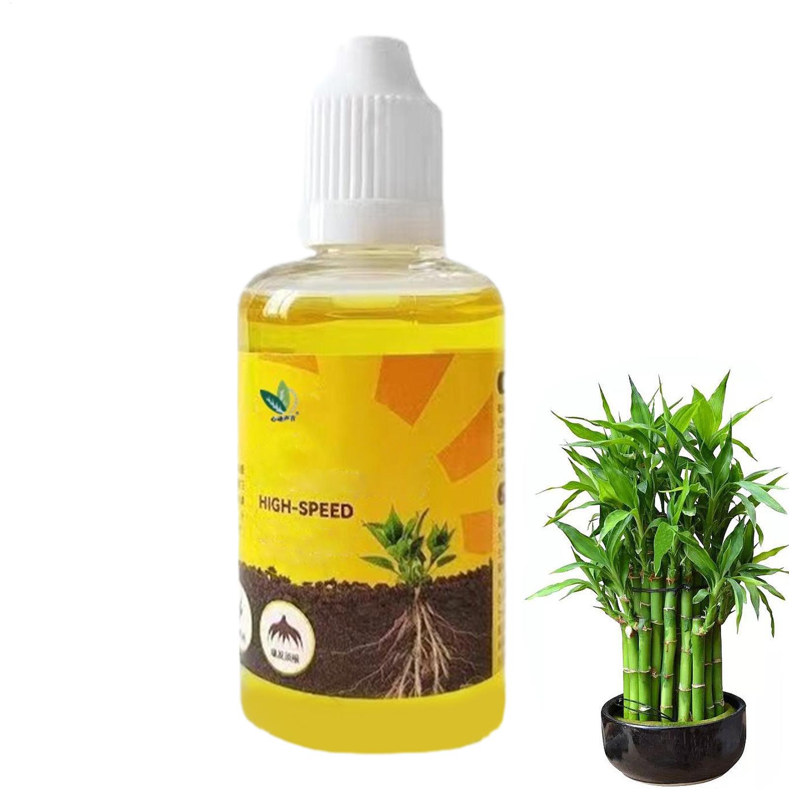 Pflanzenwurzelstimulator Flüss – Root Stimulator Liquid Bewertung und Preis