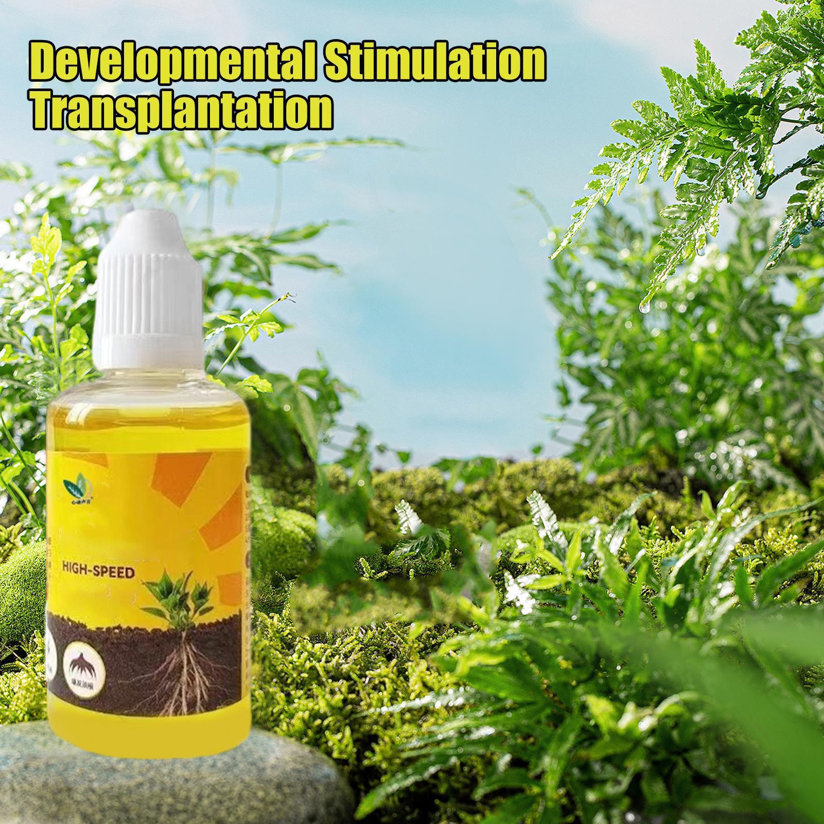 Pflanzenwurzelstimulator Flüss – Root Stimulator Liquid Bewertung und Preis