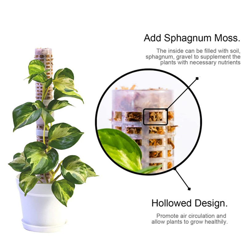 Kunststoff-Moosstange, stapelb – Sphagnum Moss Dry Bewertung und Preis