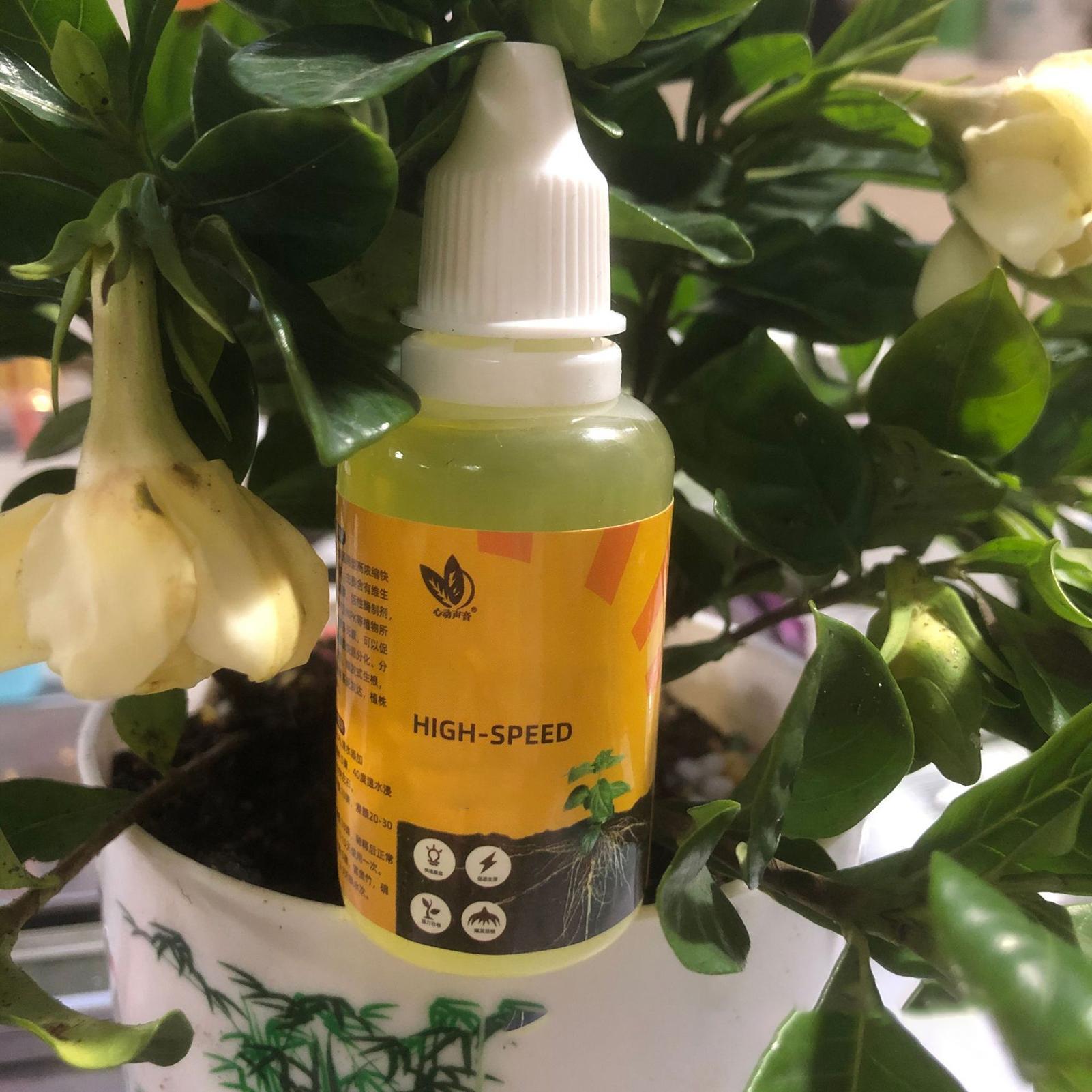1 Stück Pflanzen-Flüssigdünger – Root Stimulator Liquid Bewertung und Preis